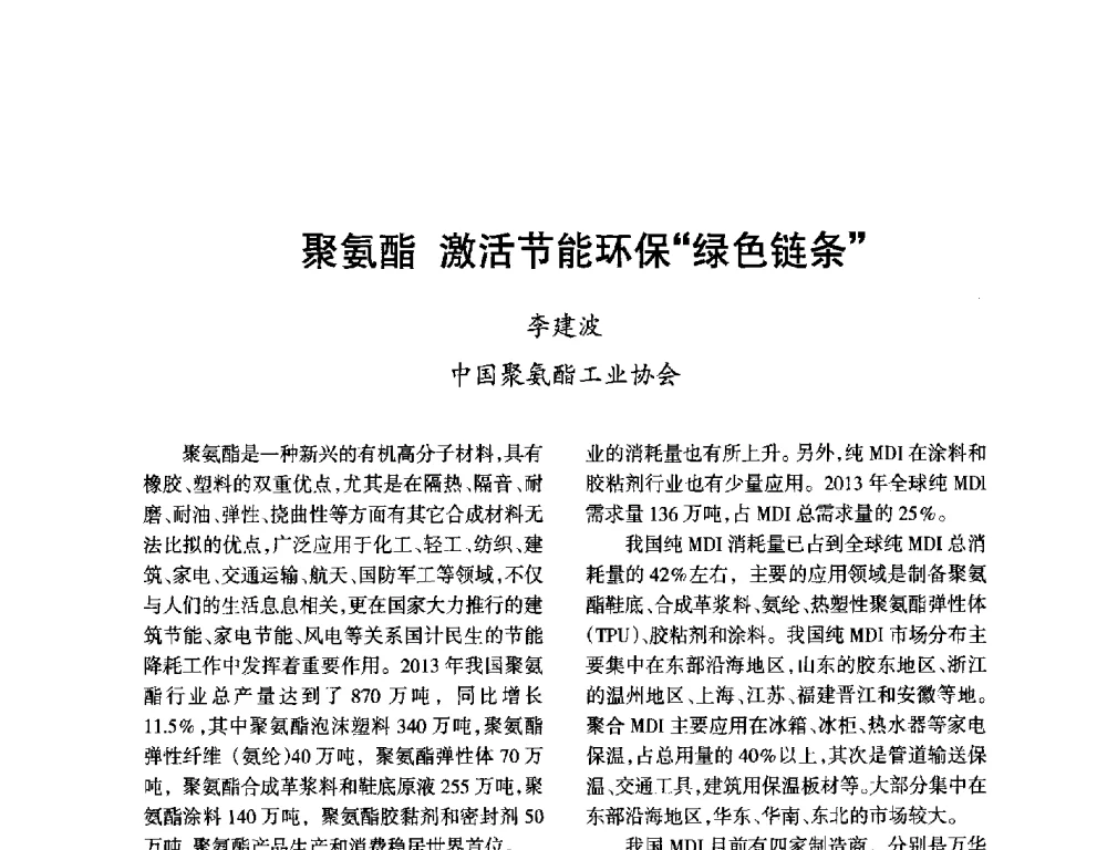 聚氨酯激活节能环保绿色链条 - 第九届全国硝酸硝酸盐技术交流会