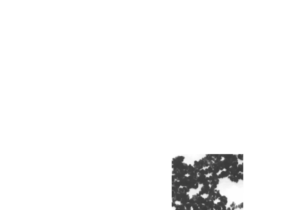 低频振动对CuO_水纳米流体导热系数影响的试验硏究 - 第六届中国冷冻冷藏新技术、新设备研讨会