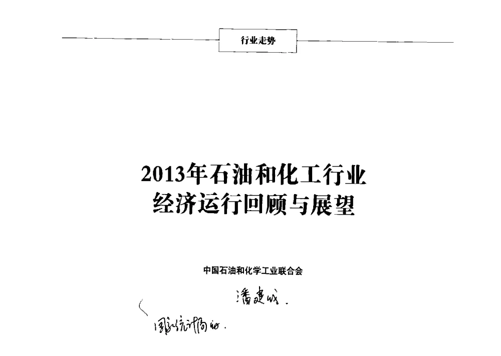 2013年石油和化工行业经济运行回顾与展望 - 2014年中国涂料、颜料行业工作年会