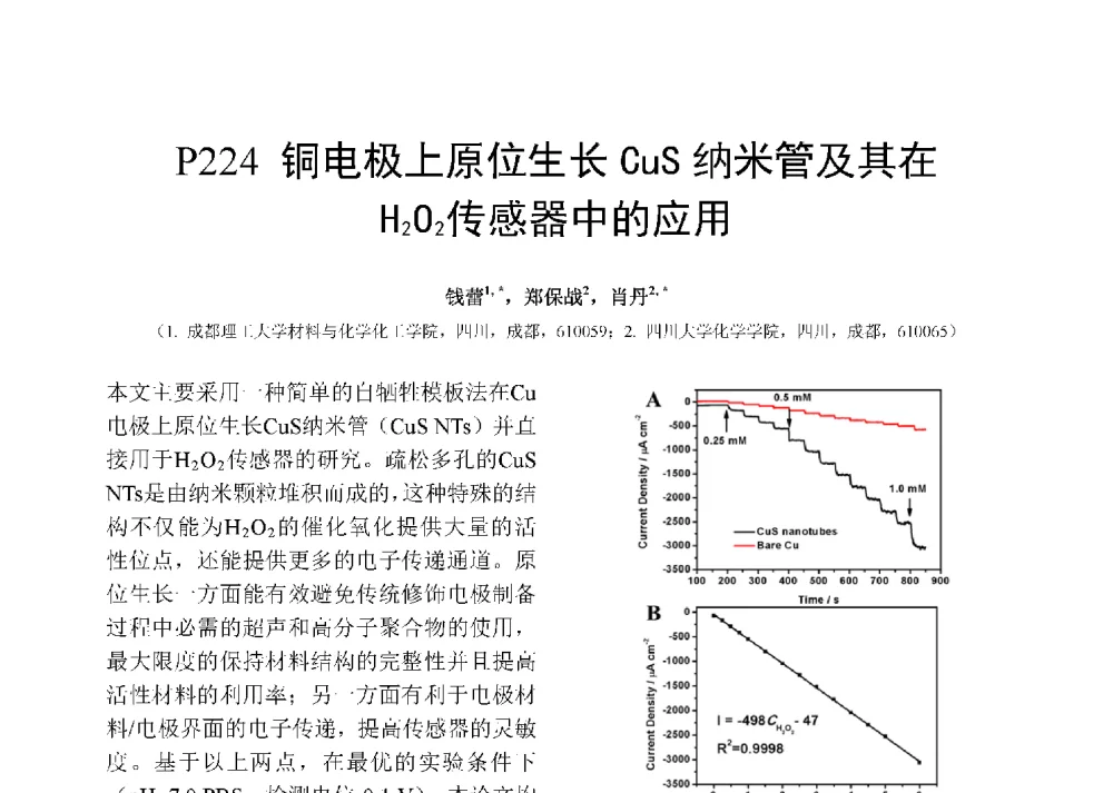 铜电极上原位生长CuS纳米管及其在H202传感器中的应用 - 第十二届全国化学传感器学术会议