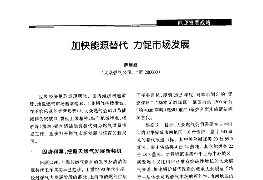 加快能源替代力促市场发展 - 第十届长三角能源论坛—推进能源生产和消费革命