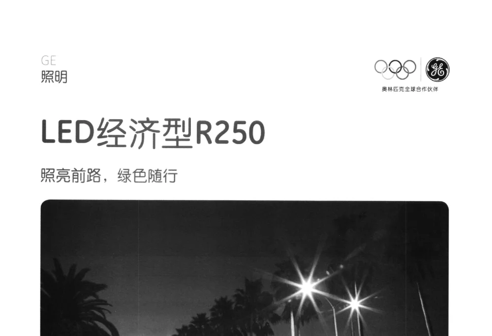 LED经济型R250照亮前路_绿色随行 - 2014中国道路照明论坛