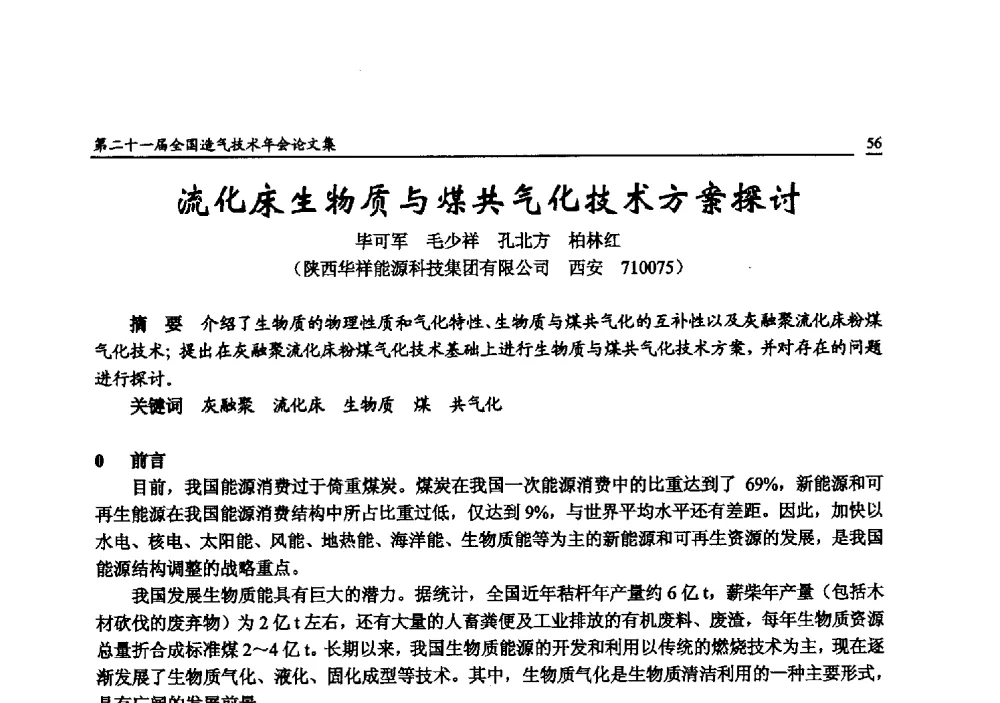流化床生物质与煤共气化技术方案探讨 - 第二十一届全国造气技术年会