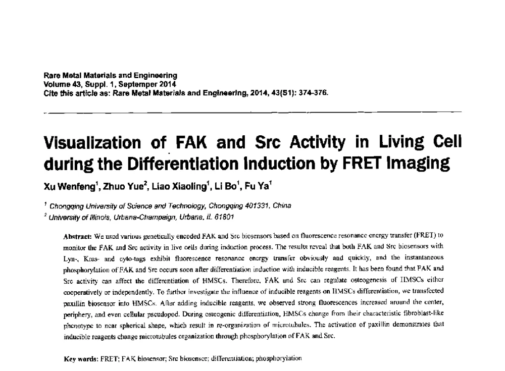 基于FRET影像技术可视化研究活细胞在分化诱导过程中的FAK和Src信号活性 - 第十四届全国生物材料大会