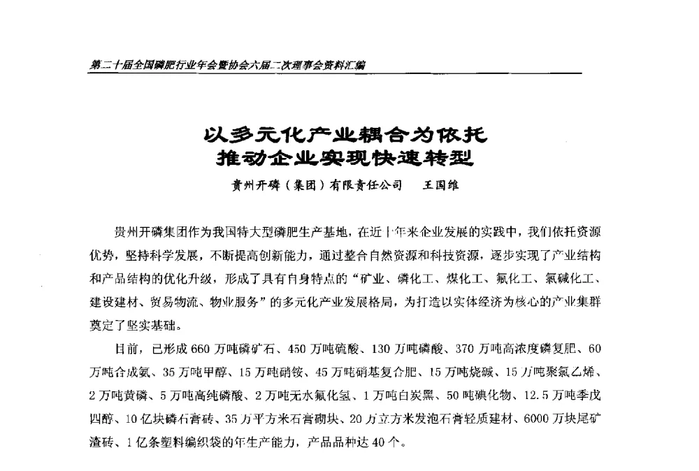 以多元化产业耦合为依托推动企业实现快速转型 - 第二十届全国磷肥行业年会
