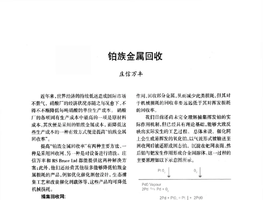 铂族金属回收 - 第六届全国硝酸硝酸盐技术交流会