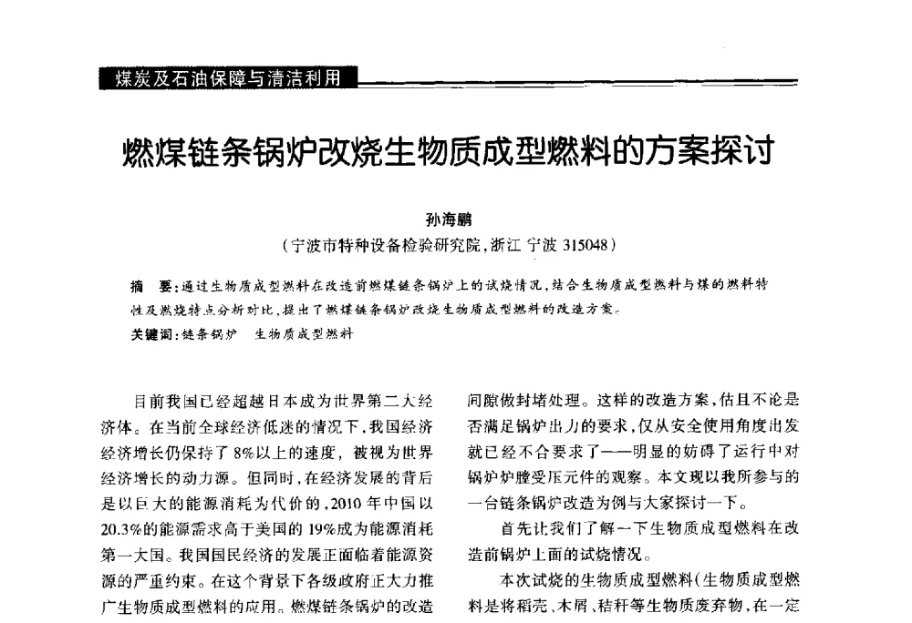 燃煤链条锅炉改烧生物质成型燃料的方案探讨 - 第十届长三角能源论坛—推进能源生产和消费革命