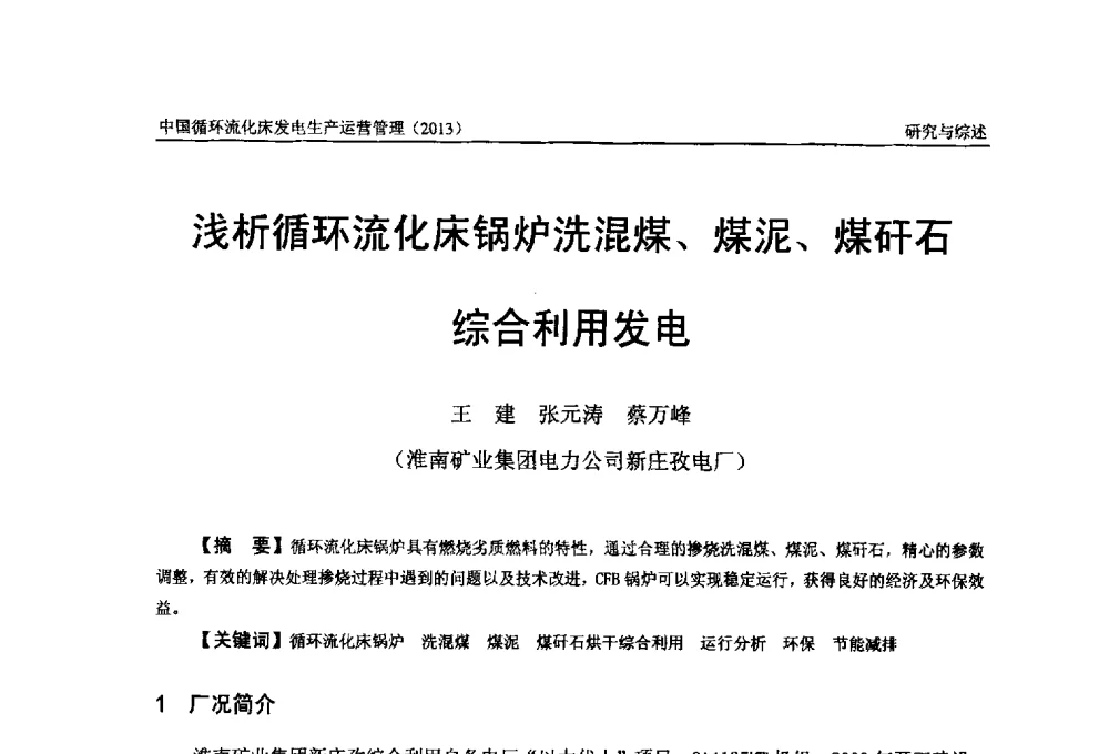 浅析循环流化床锅炉洗混煤、煤泥、煤矸石综合利用发电 - 全国电力行业CFB机组技术交流服务协作网第十二届年会