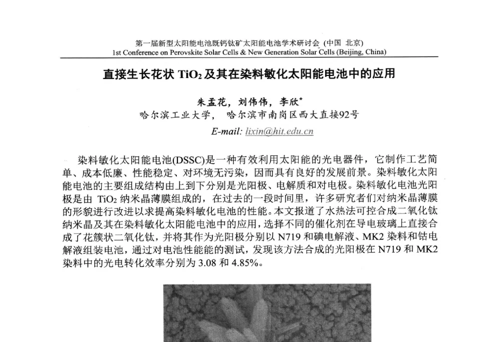 直接生长花状TiO2及其在染料敏化太阳能电池中的应用 - 第一届新型太阳能电池暨钙钛矿太阳能电池学术研讨会