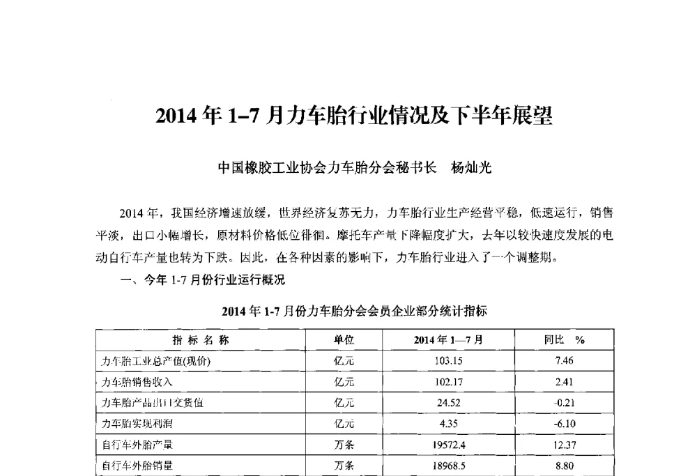 2014年1-7月力车胎行业情况及下半年展望 - 2014世界橡胶论坛暨信息发布会