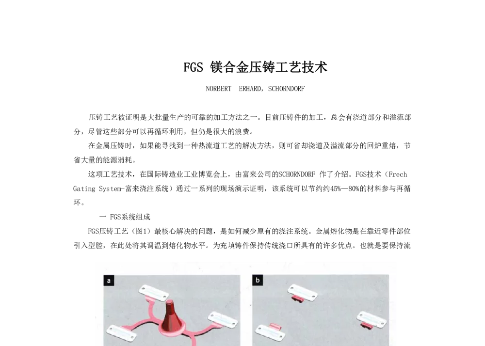 FGS镁合金压铸工艺技术 - 2013中外压铸技术交流会