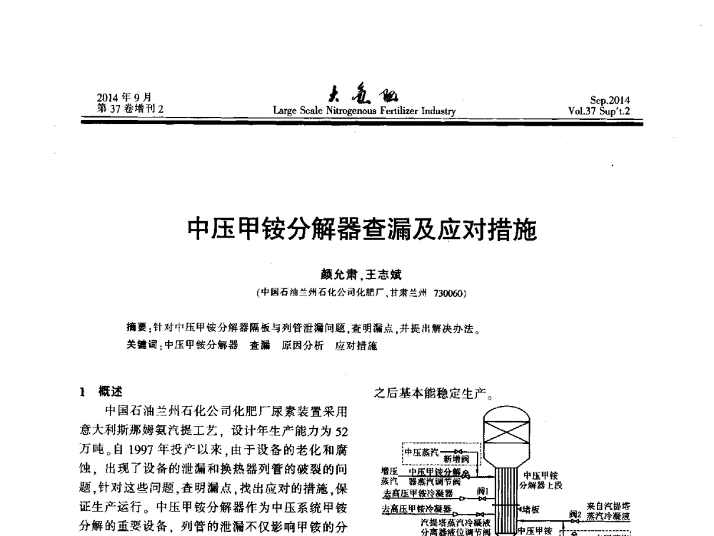 中压甲铵分解器查漏及应对措施 - 第十八届全国大型尿素装置技术年会