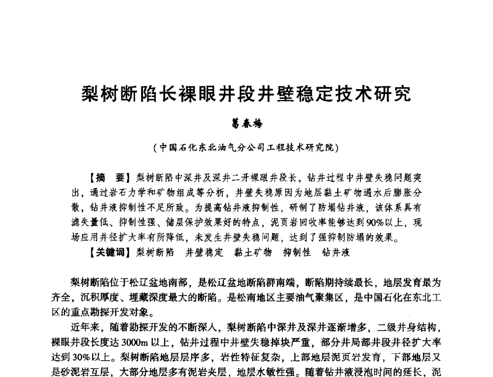 梨树断陷长裸眼井段井壁稳定技术研究 - 2014年度钻井技术研讨会暨第十四届石油钻井院(所)长会议
