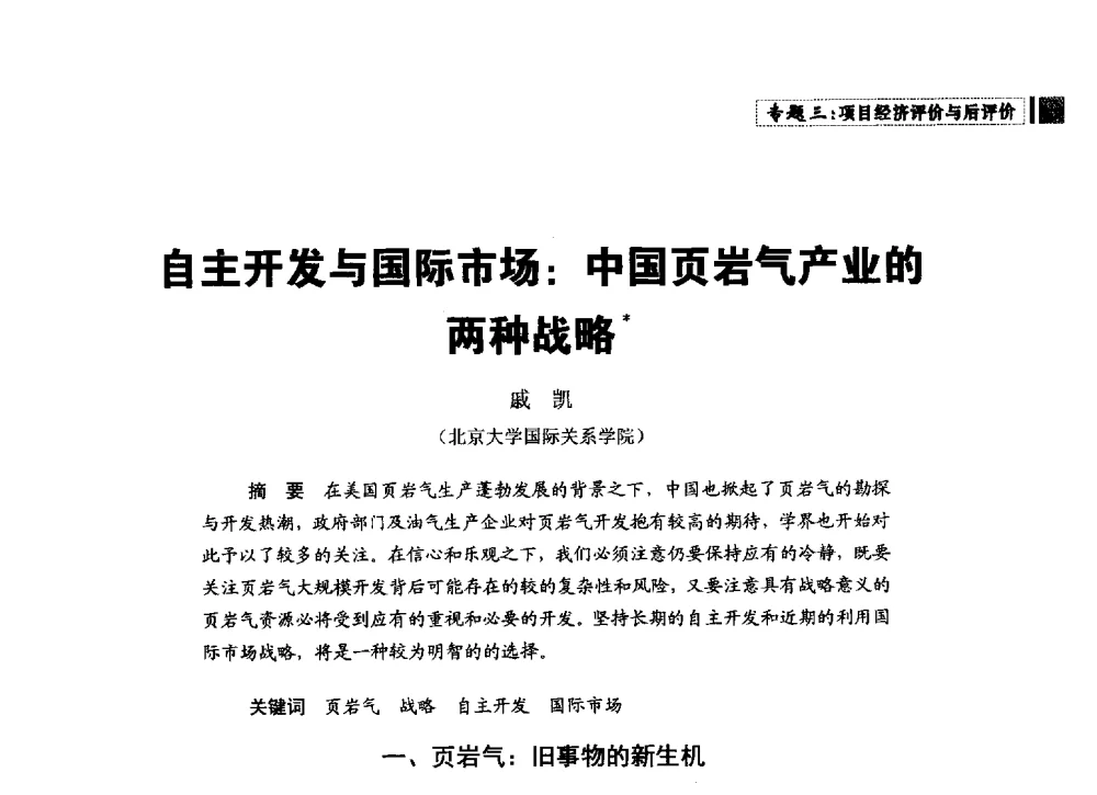 自主开发与国际市场_中国页岩气产业的两种战略 - 中国石油学会石油经济专业委员会第三届青年论坛