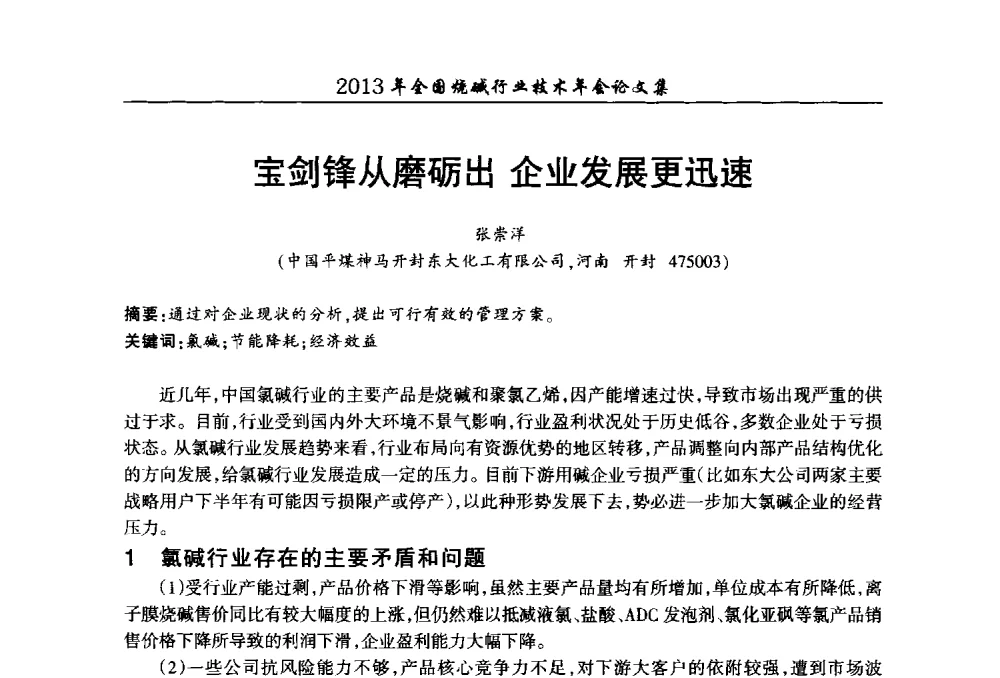 宝剑锋从磨砺出企业发展更迅速 - 2013年全国烧碱行业技术年会