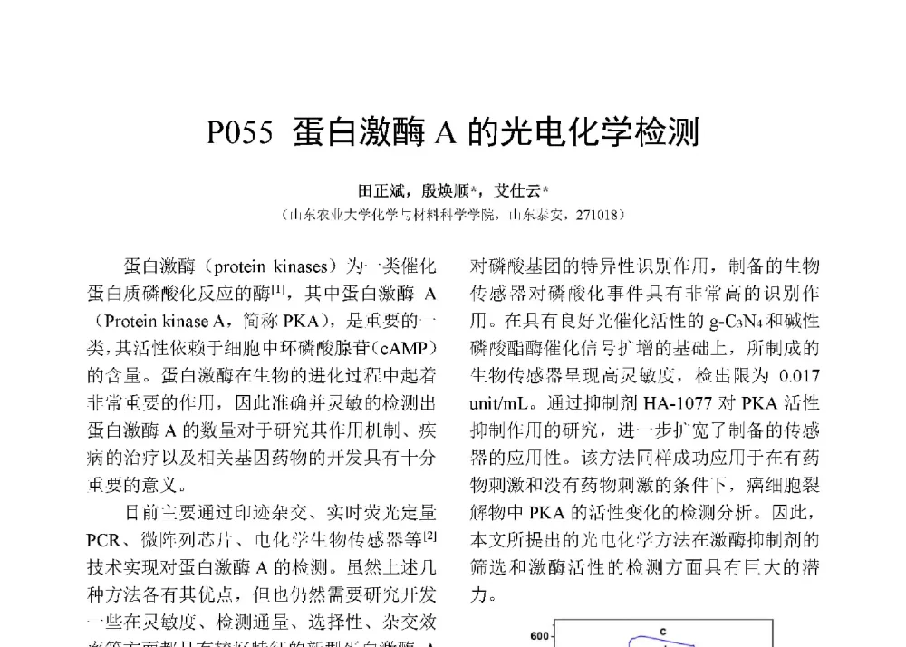 蛋白激酶A的光电化学检测 - 第十二届全国化学传感器学术会议