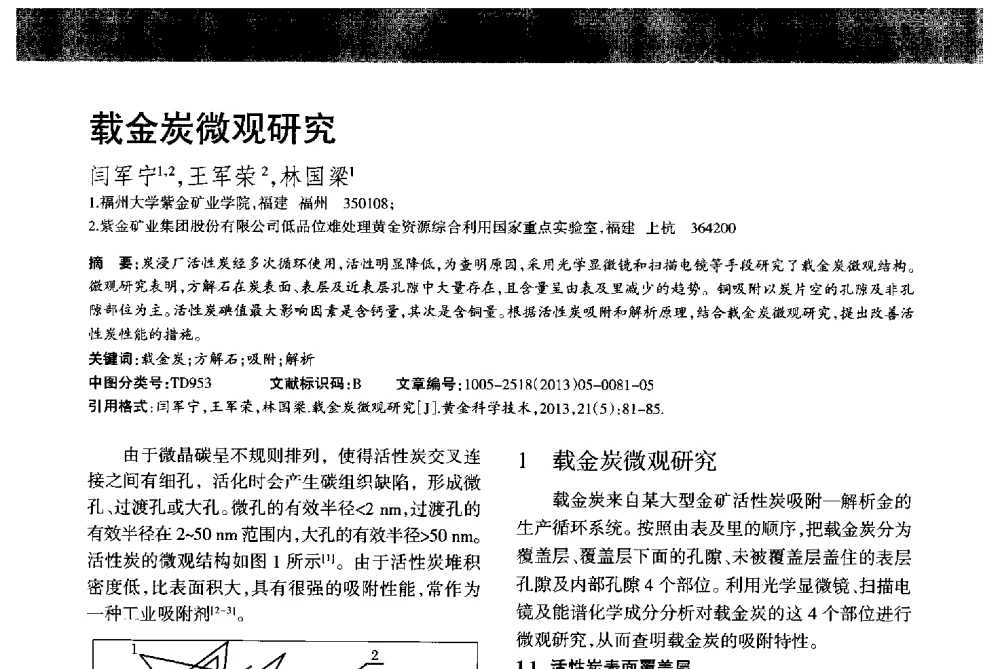 载金炭微观研究 - 首届黄金及贵金属关键冶炼技术与装备创新研讨会