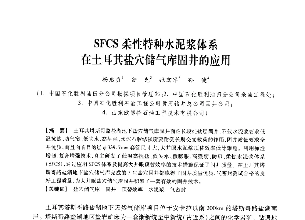 SFCS柔性特种水泥浆体系在土耳其盐穴储气库固井的应用 - 中国石油学会2014年固井技术研讨会