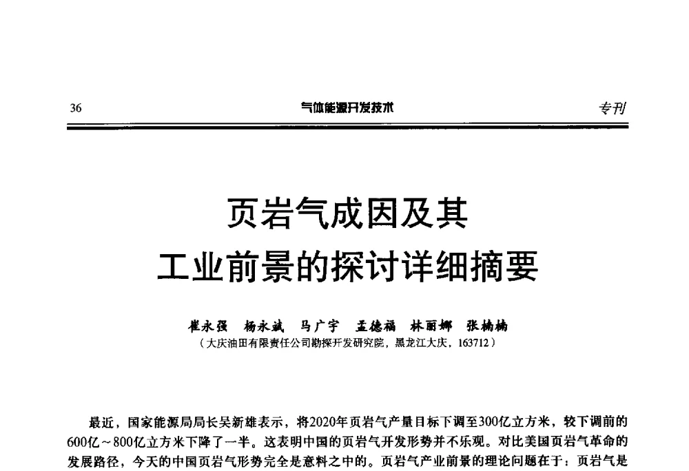 页岩气成因及其工业前景的探讨详细摘要 - 第二届气体能源开发技术国际研讨会