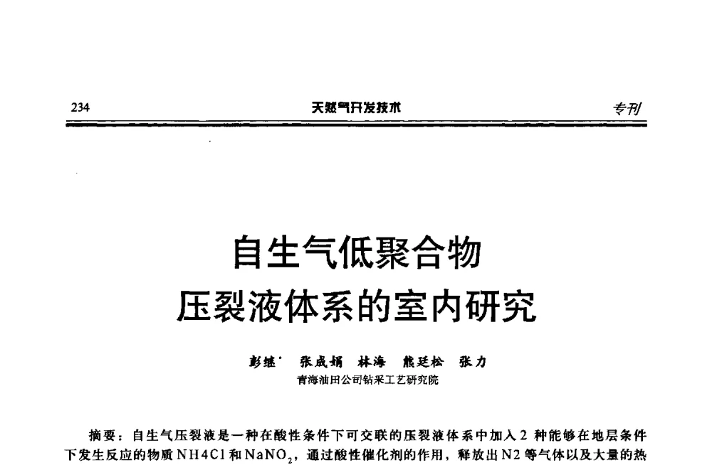 自生气低聚合物压裂液体系的室内研究 - 第四届全国天然气藏高效开发技术研讨会