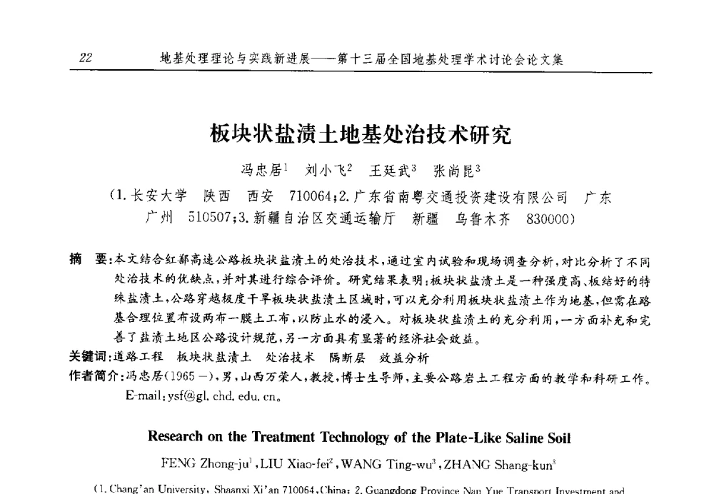 板块状盐渍土地基处治技术研究 - 第十三届全国地基处理学术讨论会