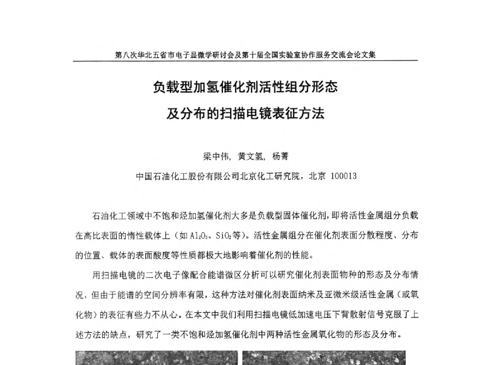 负载型加氢催化剂活性组分形态及分布的扫描电镜表征方法 - 第八次华北五省市电子显微学研讨会及第十届全国实验室协作服务交流会