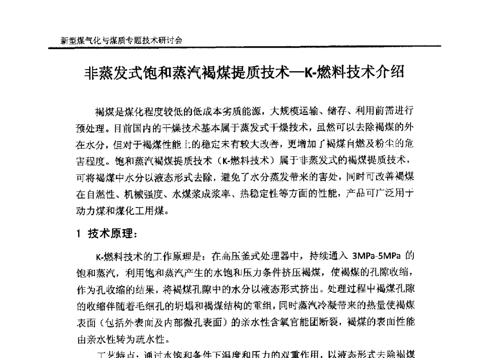 非蒸发式饱和蒸汽褐煤提质技术--K-燃料技术介绍 - 2014`新型煤气化技术与煤质专题技术研讨会