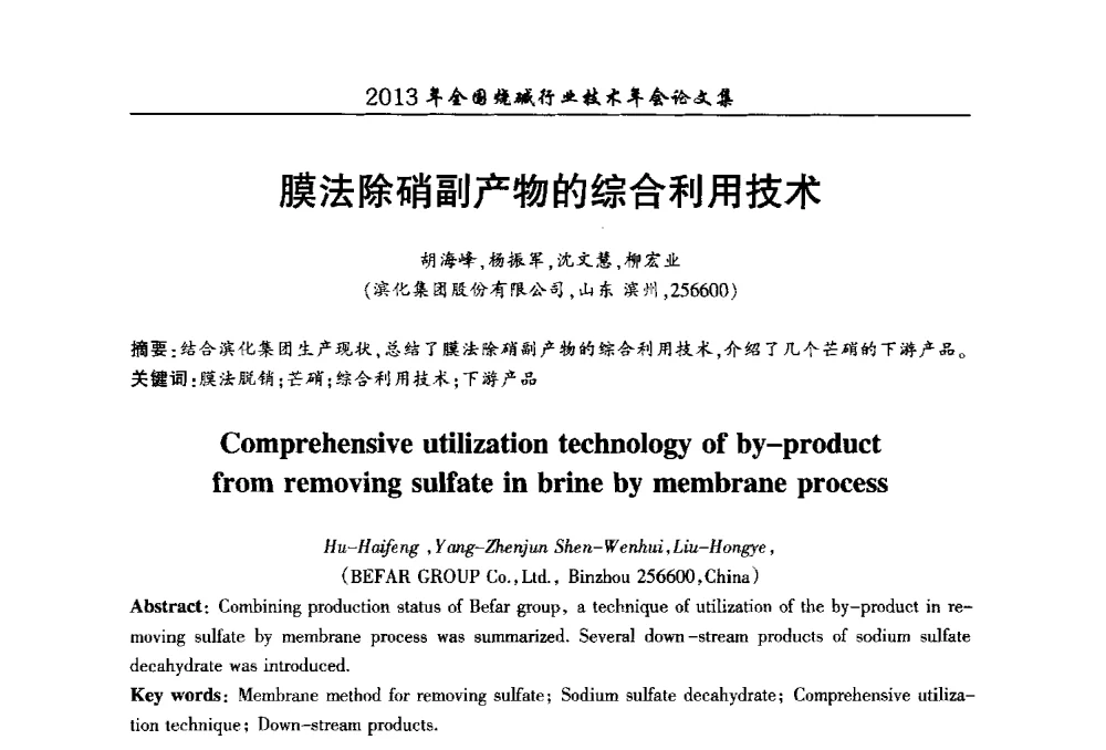 膜法除硝副产物的综合利用技术 - 2013年全国烧碱行业技术年会
