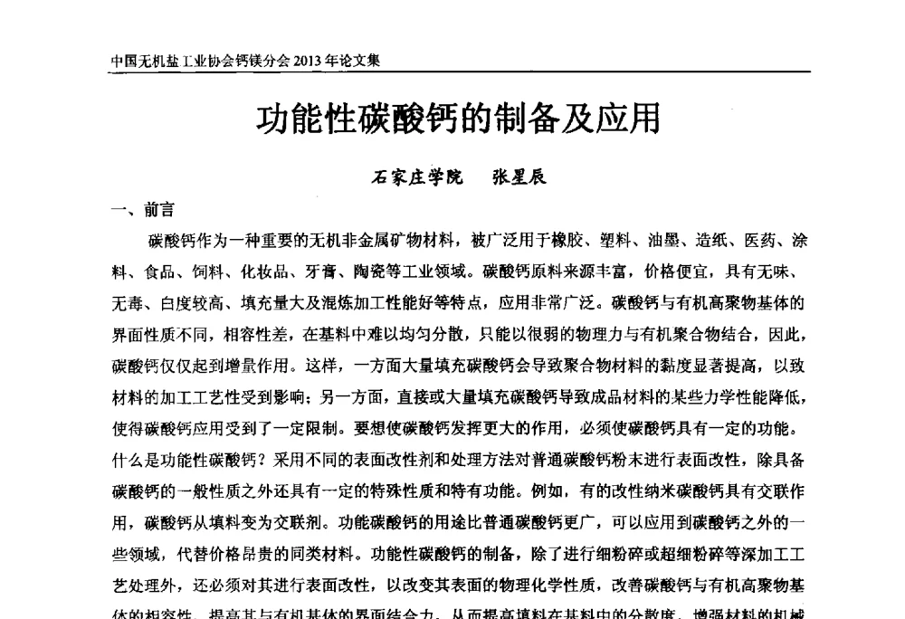 功能性碳酸钙的制备及应用 - 2013年全国碳酸钙行业年会