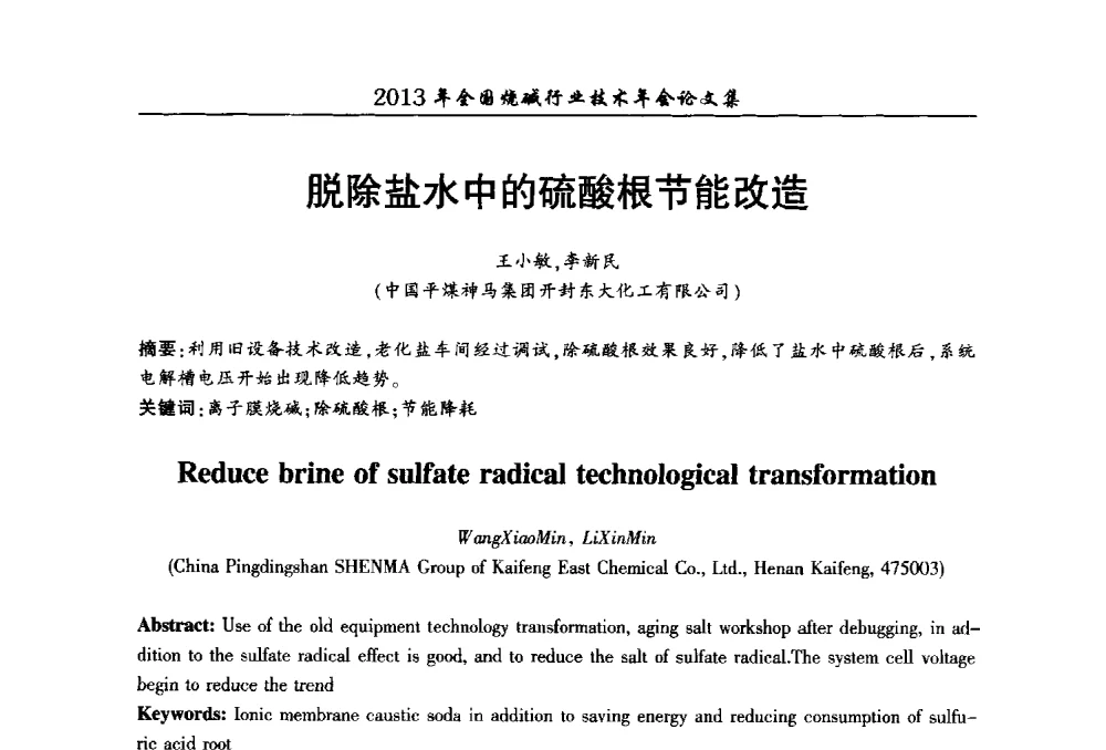 脱除盐水中的硫酸根节能改造 - 2013年全国烧碱行业技术年会