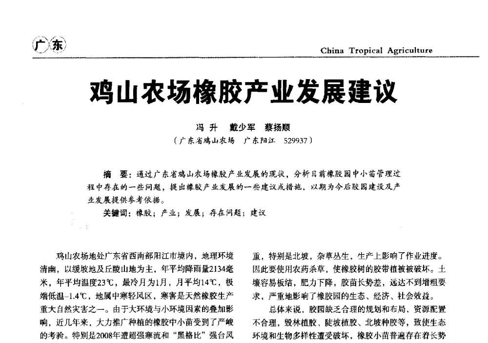 鸡山农场橡胶产业发展建议 - 第三届中国天然橡胶发展大会