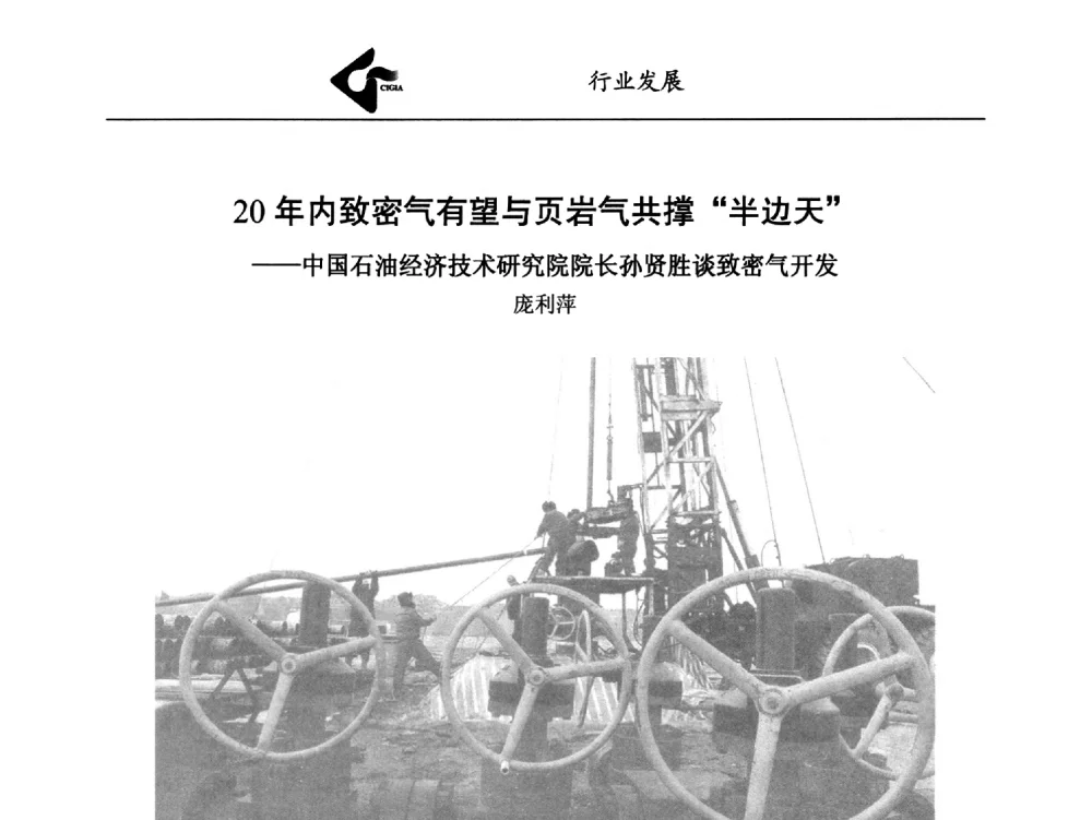 20年内致密气有望与页岩气共撑半边天--中国石油经济技术研究院院长孙贤胜谈致密气开发 - 中国工业气体工业协会第24次会员代表大会暨2014年年会