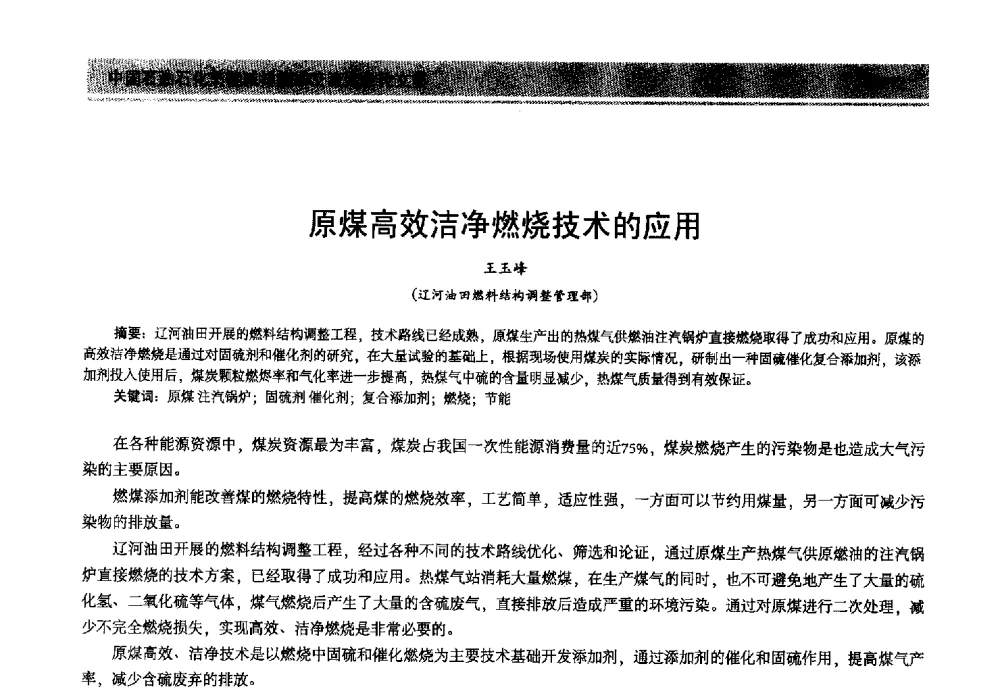 原煤高效洁净燃烧技术的应用 - 2013年中国石油石化节能减排技术交流大会