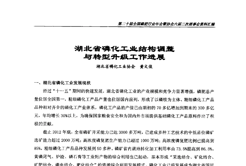 湖北省磷化工业结构调整与转型升级工作进展 - 第二十届全国磷肥行业年会
