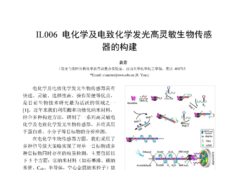 电化学及电致化学发光高灵敏生物传感器的构建 - 第十二届全国化学传感器学术会议