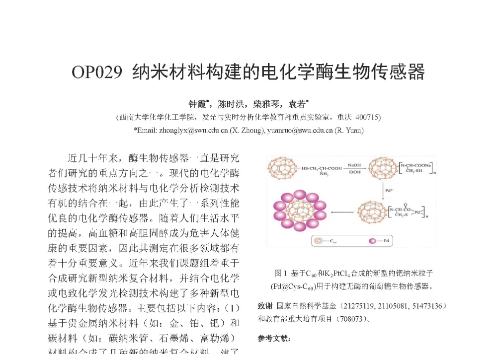 纳米材料构建的电化学酶生物传感器 - 第十二届全国化学传感器学术会议