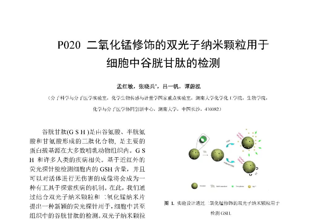 二氧化锰修饰的双光子纳米颗粒用于细胞中谷胱甘肽的检测 - 第十二届全国化学传感器学术会议