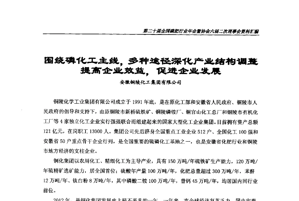 围绕磷化工主线_多种途径深化产业结构调整提高企业效益_促进企业发展 - 第二十届全国磷肥行业年会