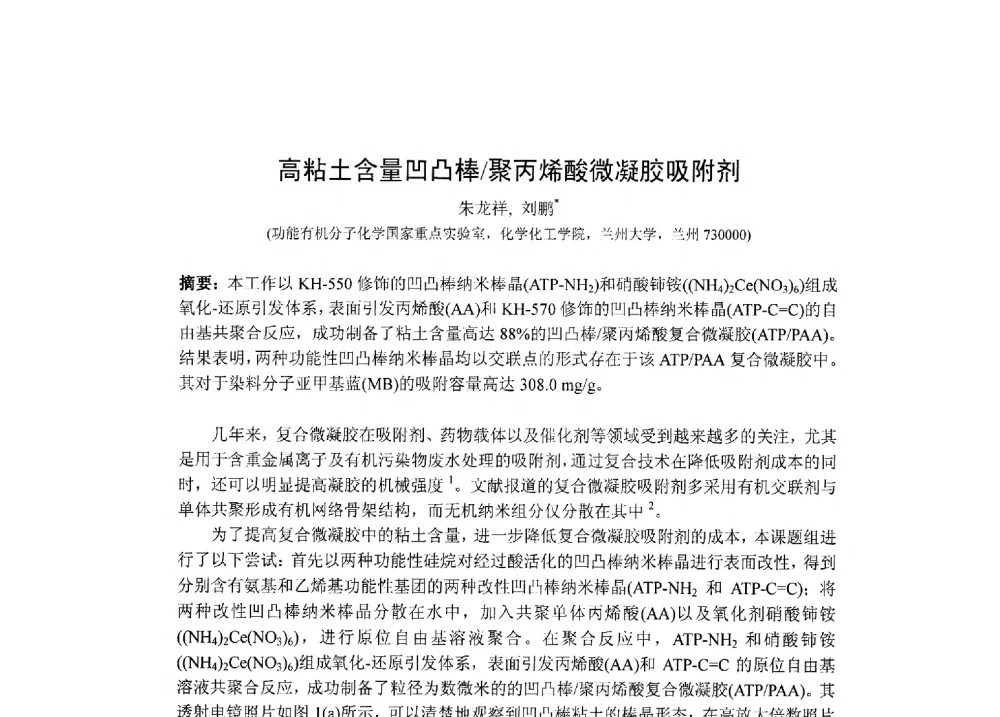 高粘土含量凹凸棒_聚丙烯酸微凝胶吸附剂 - 2013甘肃-江苏凹凸棒石黏土应用学术研讨会