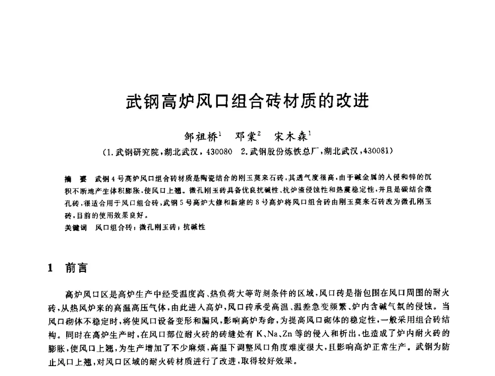 武钢高炉风口组合砖材质的改进 - 2010年全国炼铁生产技术会议暨炼铁年会