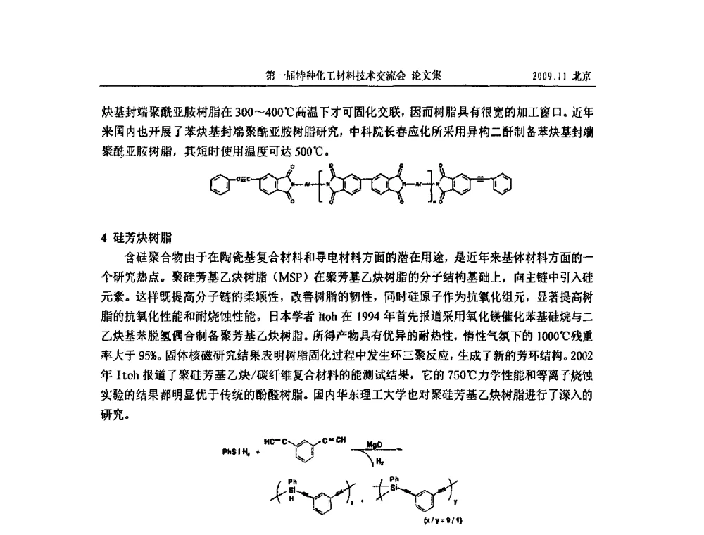 PAN基碳纤维的开发及应用 - 中国化工学会特种化工专业委员会成立大会暨第一届特种化工材料技术交流会