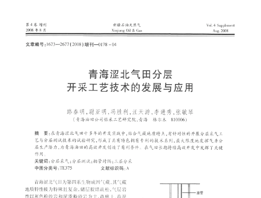 青海涩北气田分层开采工艺技术的发展与应用 - 首届西部天然气开发技术研讨会