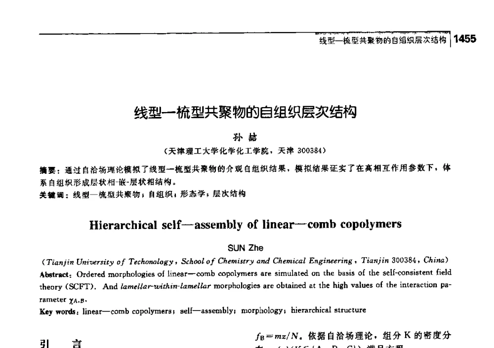 线型—梳型共聚物的自组织层次结构 - 中国工程院化工、冶金与材料工学部第七届学术会议