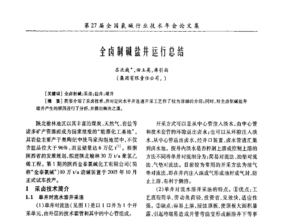 全卤制碱盐井运行总结 - 第27届全国氯碱行业技术年会暨第10届“佑利杯”论文交流会