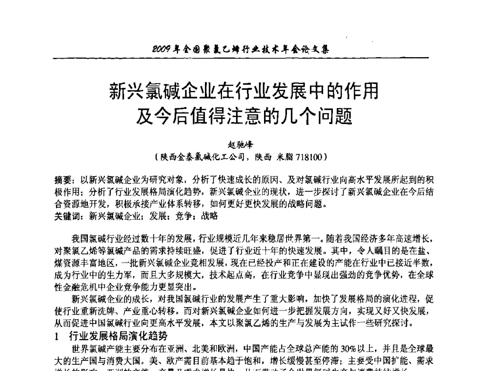 新兴氯碱企业在行业发展中的作用及今后值得注意的几个问题 - 2009年全国聚氯乙烯行业技术年会