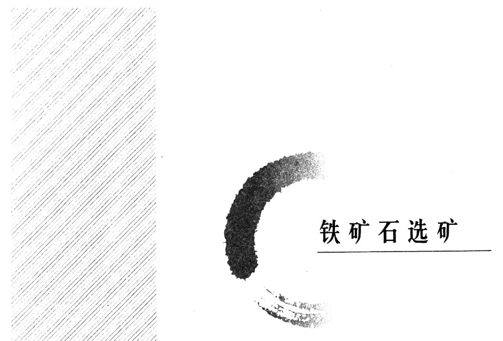 高磷鲕状赤铁矿还原焙烧同步脱磷工艺研究 - 2009年全国选矿学术会议