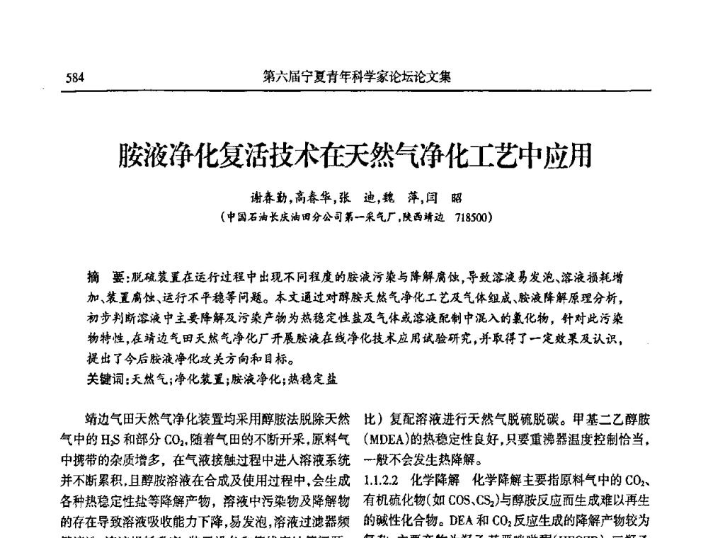 胺液净化复活技术在天然气净化工艺中应用 - 第六届宁夏青年科学家论坛