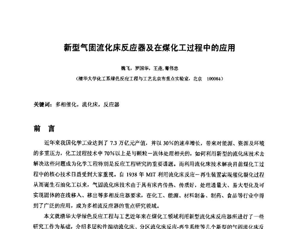 新型气固流化床反应器及在煤化工过程中的应用 - 2010中国国际煤化工发展论坛