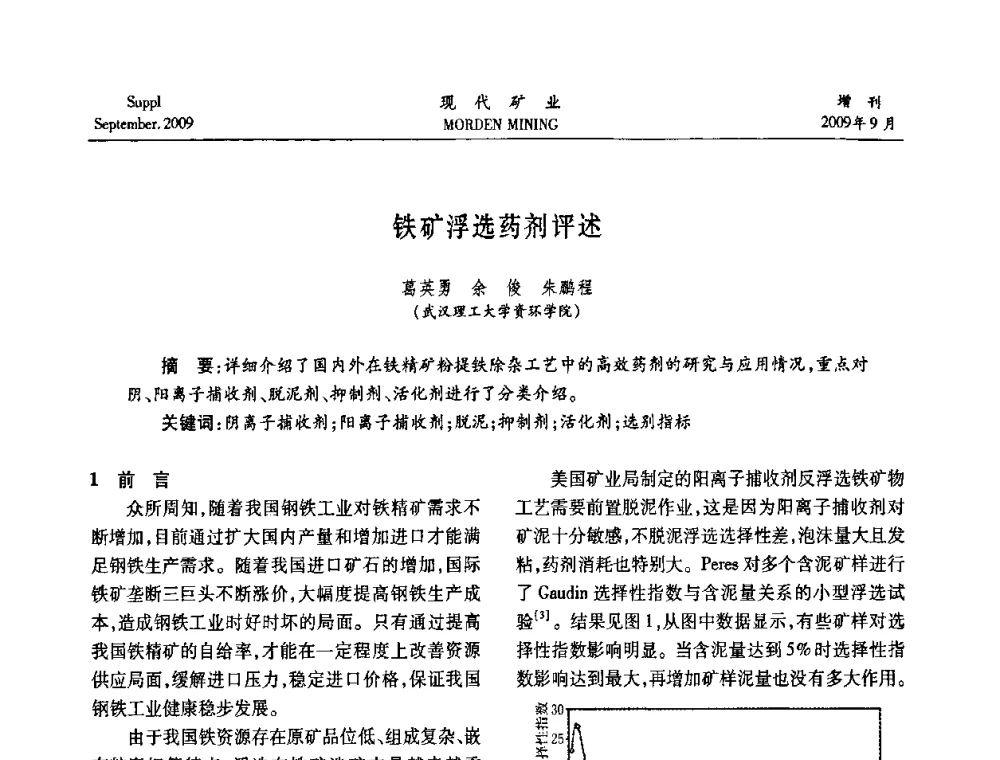 铁矿浮选药剂评述 - 第九届中国选矿大会