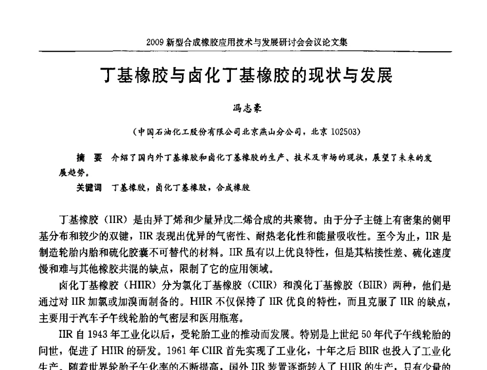 丁基橡胶与卤化丁基橡胶的现状与发展 - 2009新型合成橡胶应用技术与发展研讨会